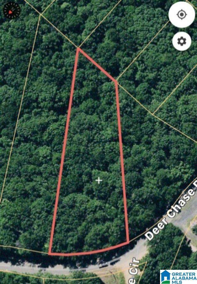 0 Deer Chase Rd - Photo 1