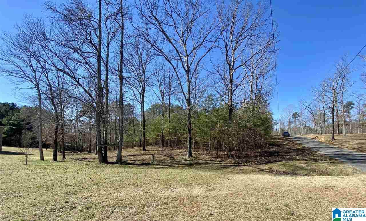 0 Lakeshore Loop - Photo 1