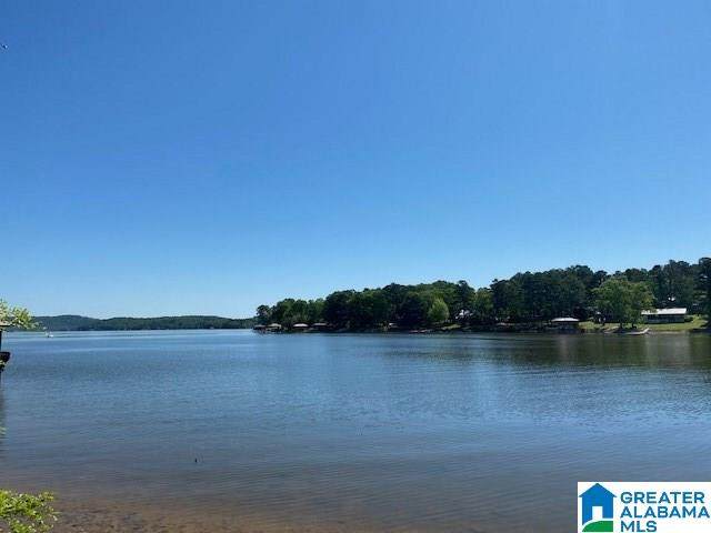 0 Coves Dr - Photo 1