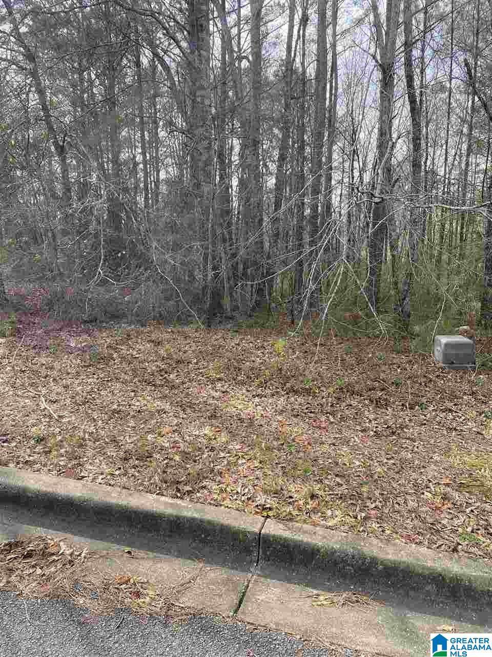 78 Peyton Pl - Photo 1