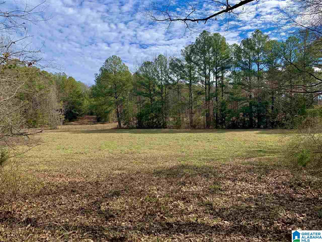 0 County Road 16 - Photo 1