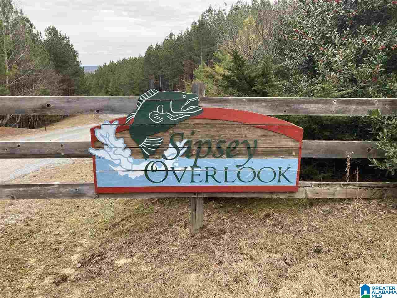 0 Sipsey Overlook Dr - Photo 1