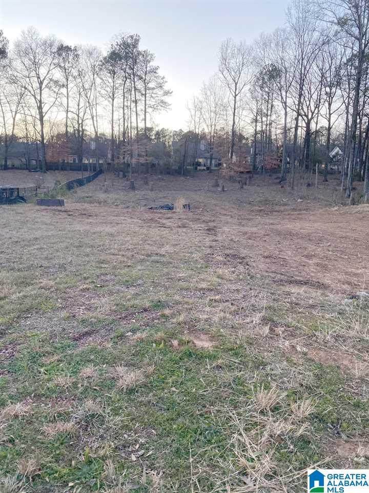 6209 Woodhaven Trace - Photo 1