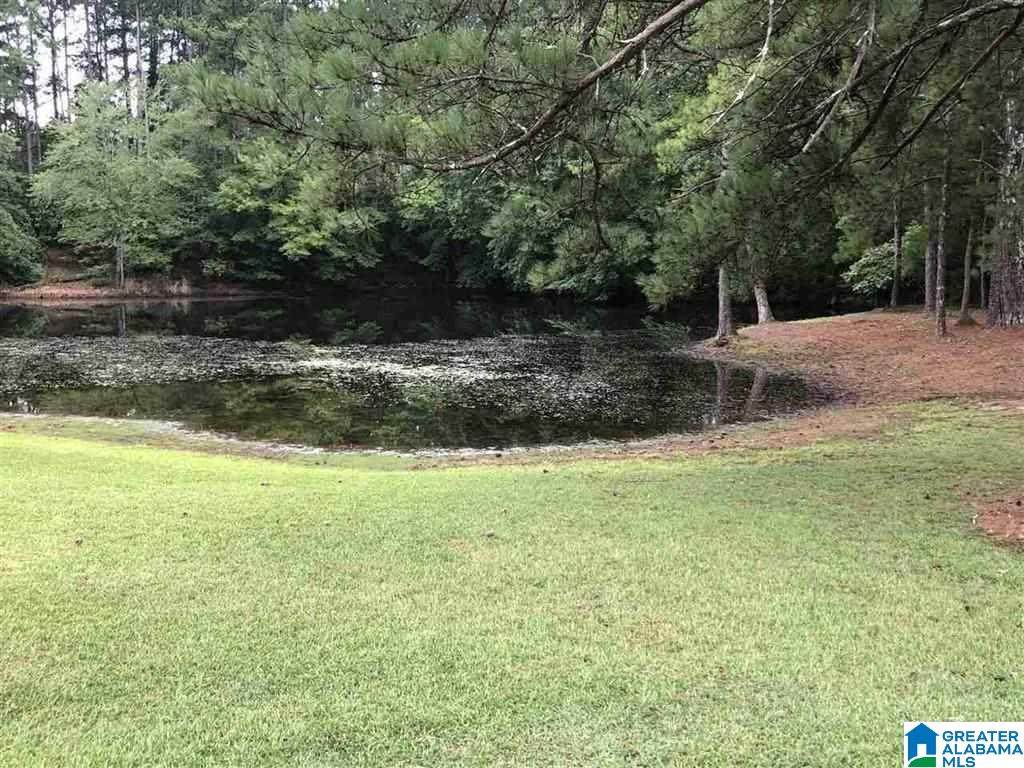 2820 Happy Top Rd - Photo 1