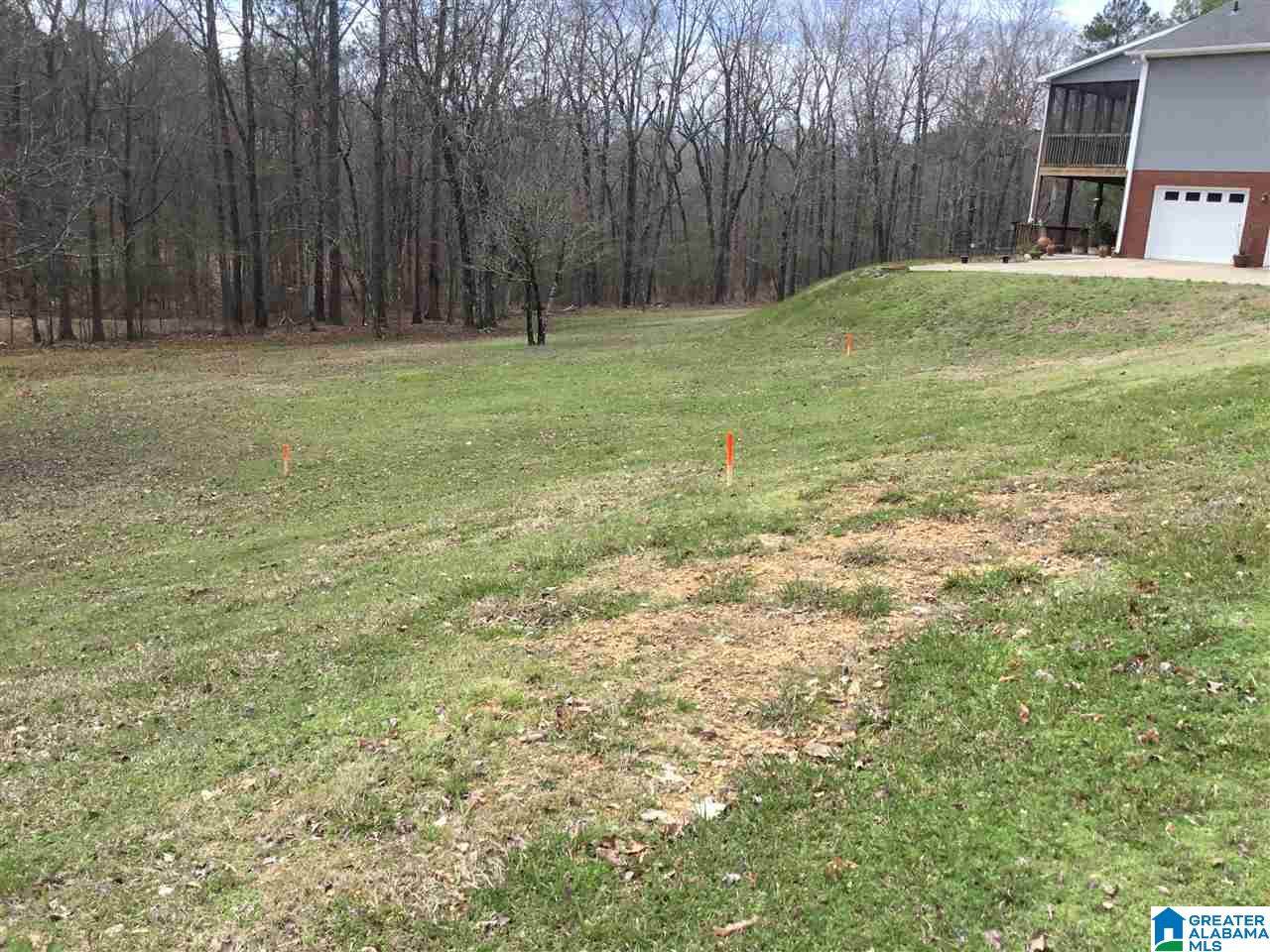 305 Deer Ridge Ln - Photo 1