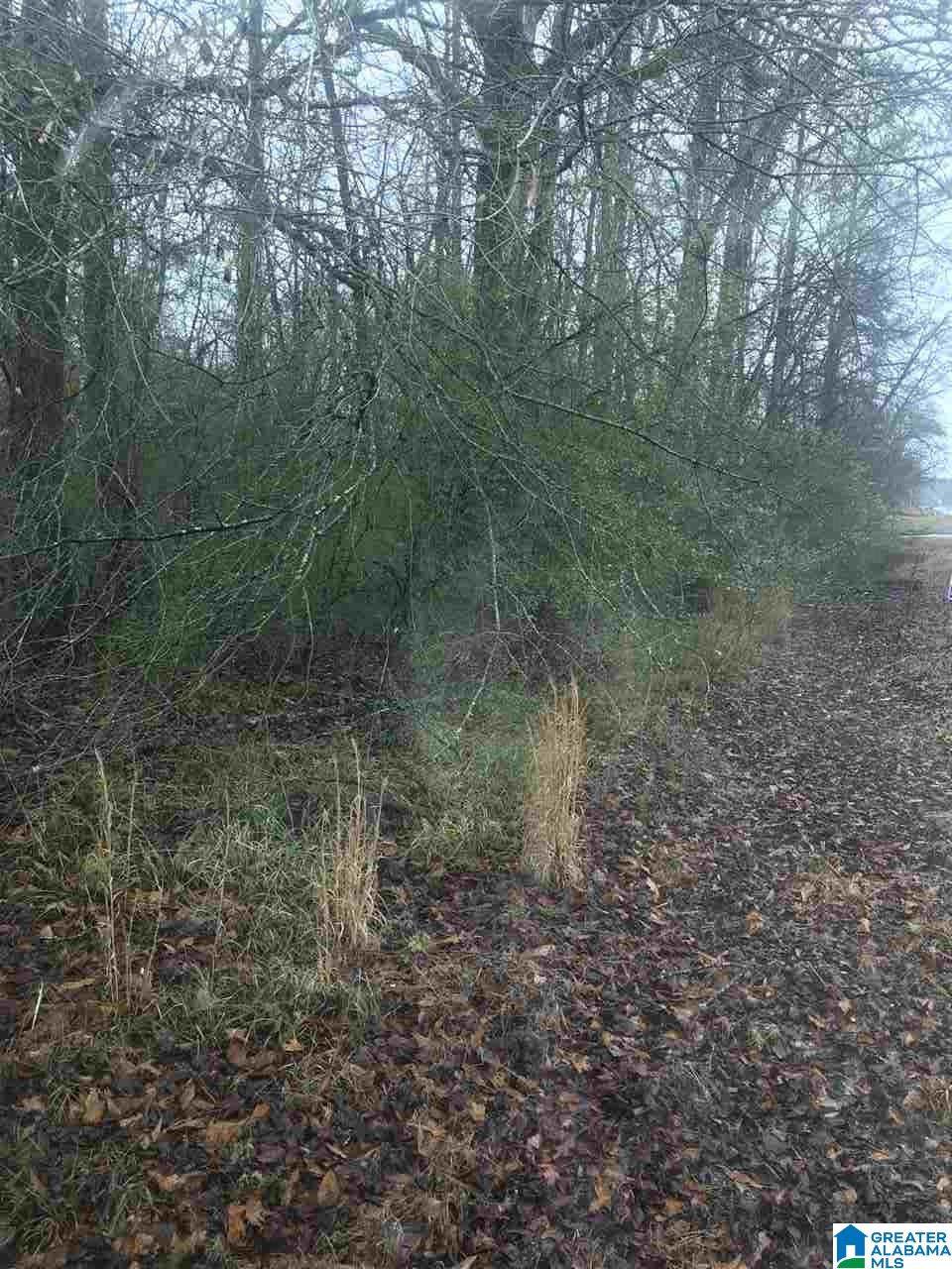 9909 Hwy 160 - Photo 1
