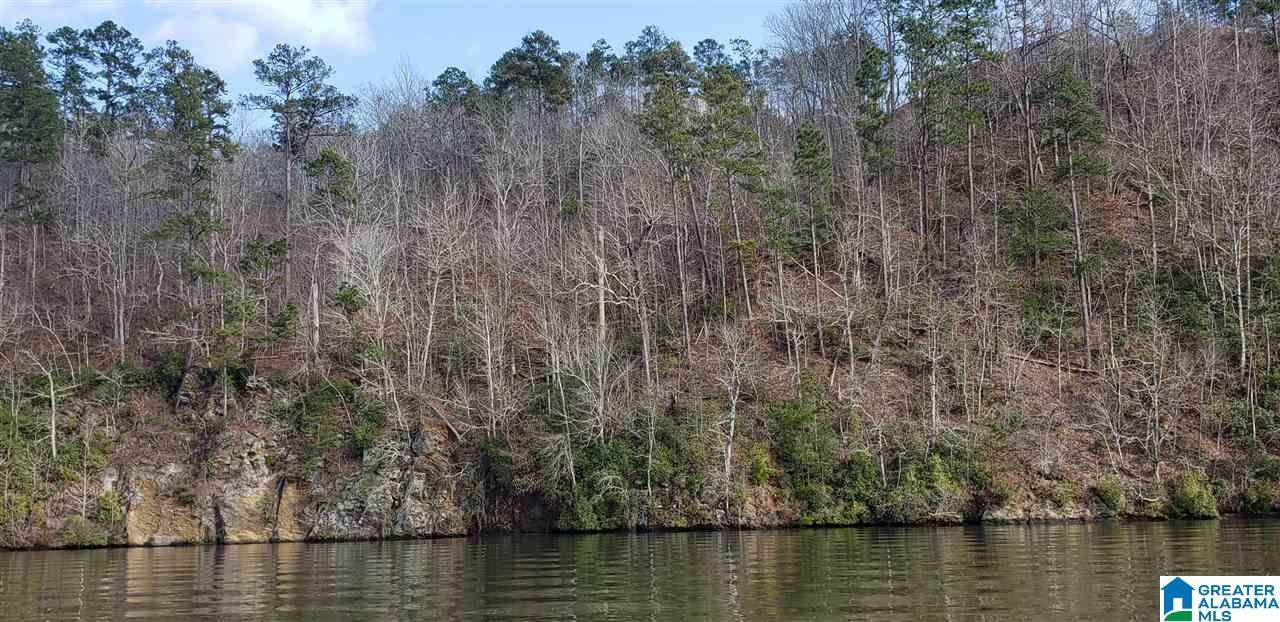 Lot 1-B Eagle Mountain Rd - Photo 1