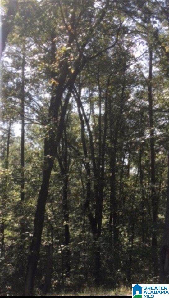 0 Hillview Dr - Photo 1