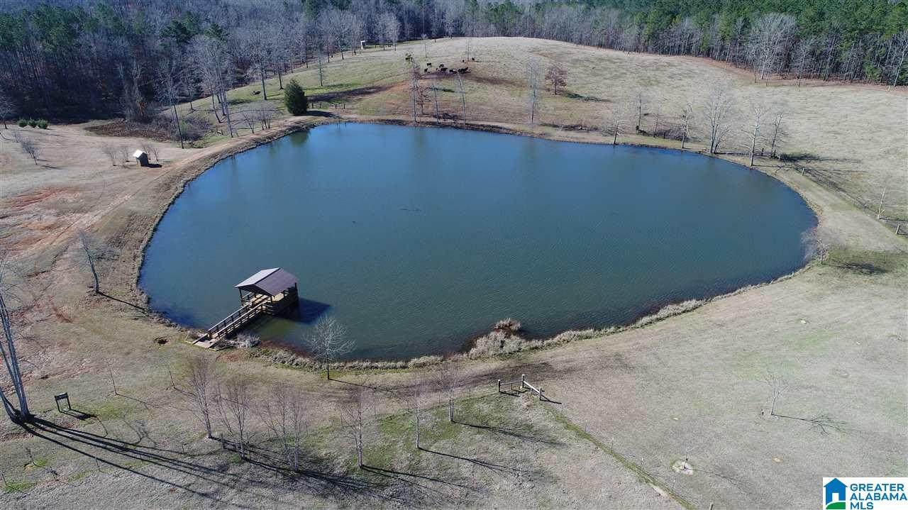 646 Co Rd 120 - Photo 1
