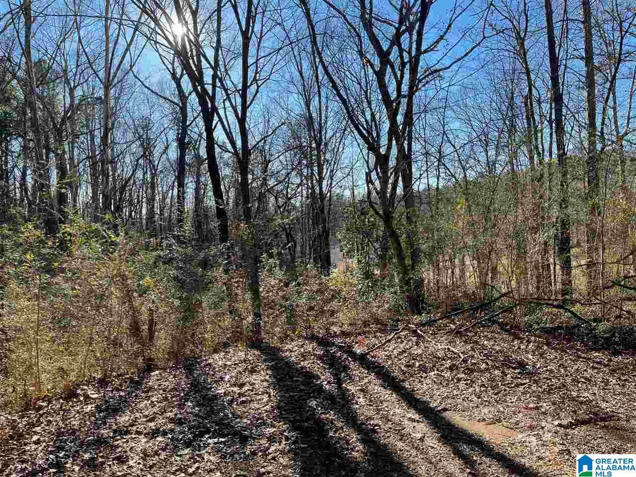0 Post Oak Road - Photo 1