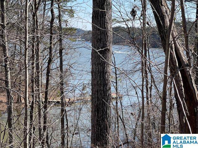 Stillwaters Trail - Photo 1