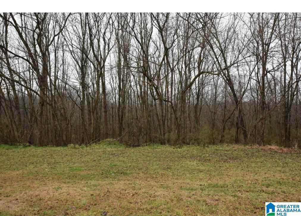 0 Hwy 31 - Photo 1