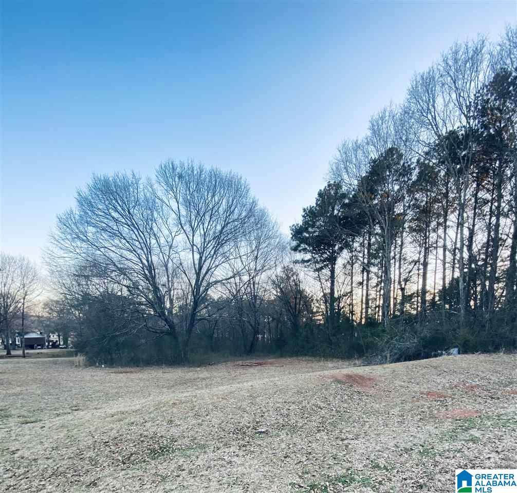 0 Mountain View Drive - Photo 1