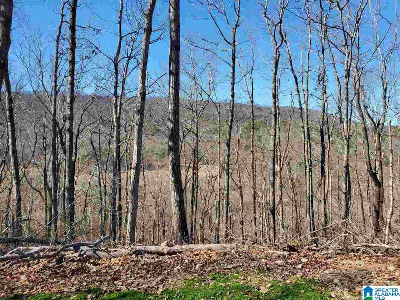 Cross Creek Drive - Photo 1