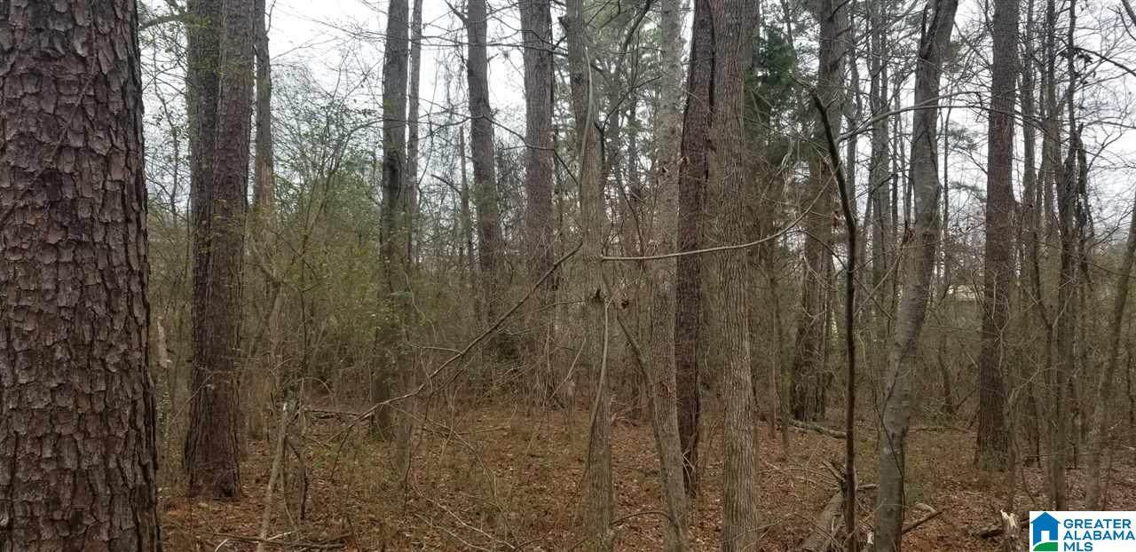 0 Old Mill Road - Photo 1