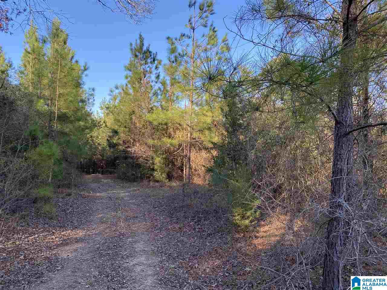 0 Mcgee Road - Photo 1