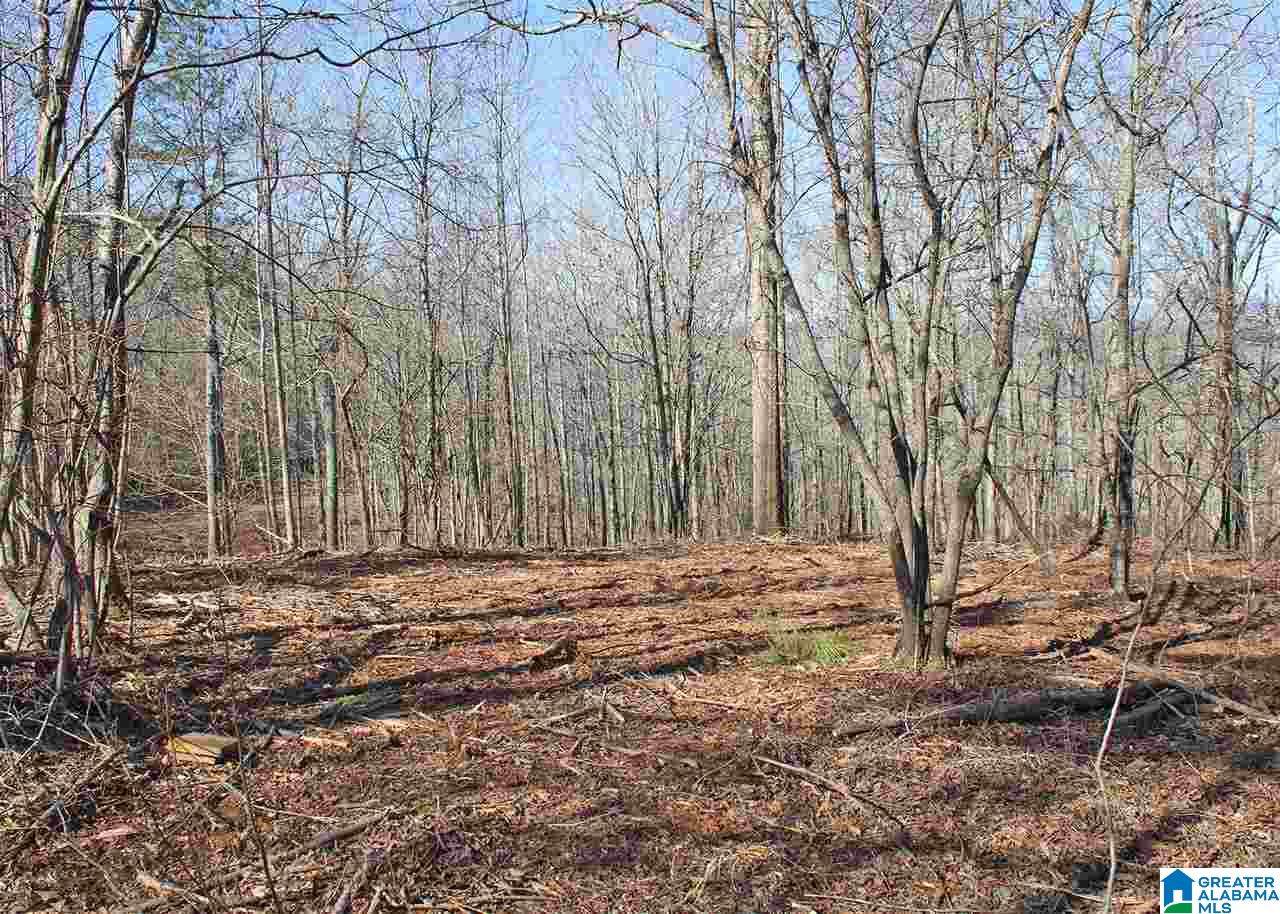Lot 28 Mandy Dr - Photo 1