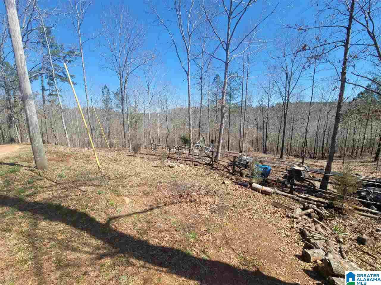 1278 County Road 223 - Photo 1