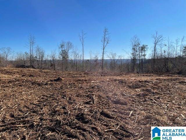 Co Rd 815 - Photo 1
