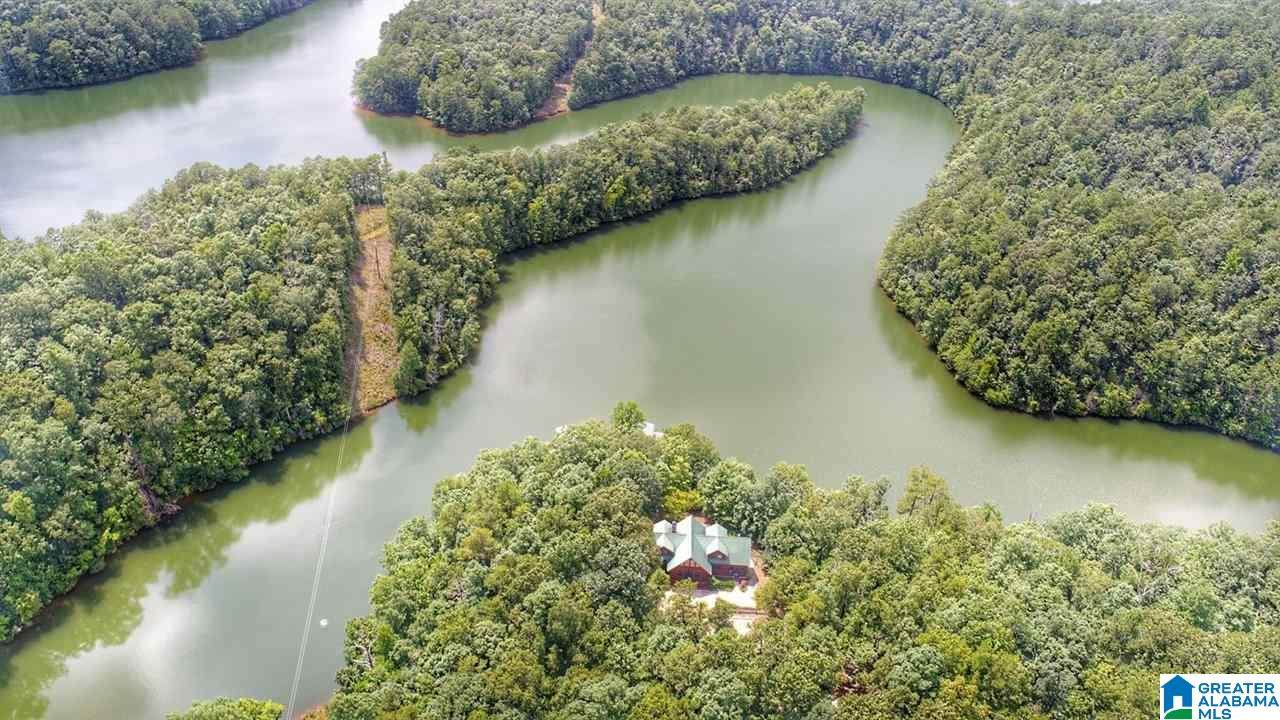 LOT 4-B County Road 803 - Photo 1