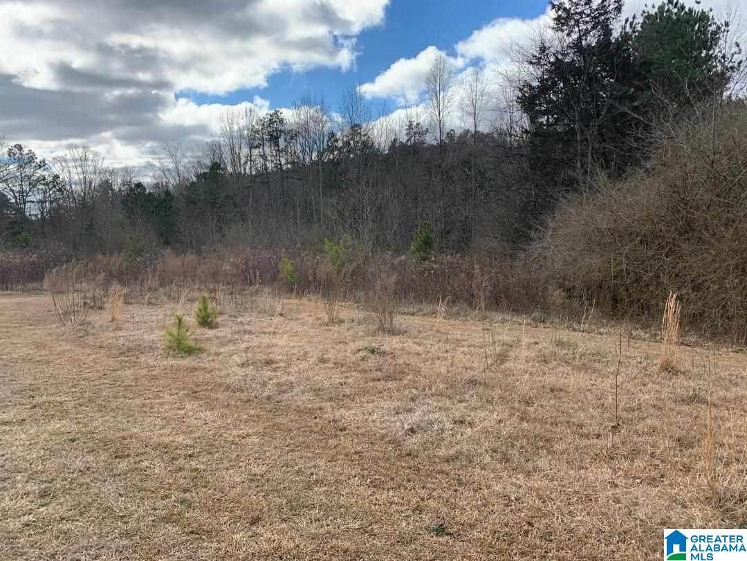 2162 Joy Road - Photo 1