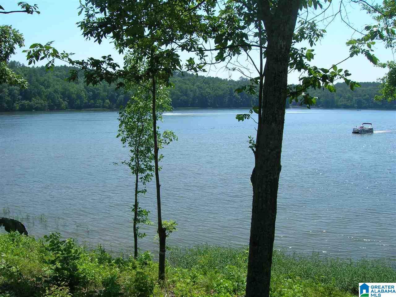 Stillwaters Trail - Photo 1