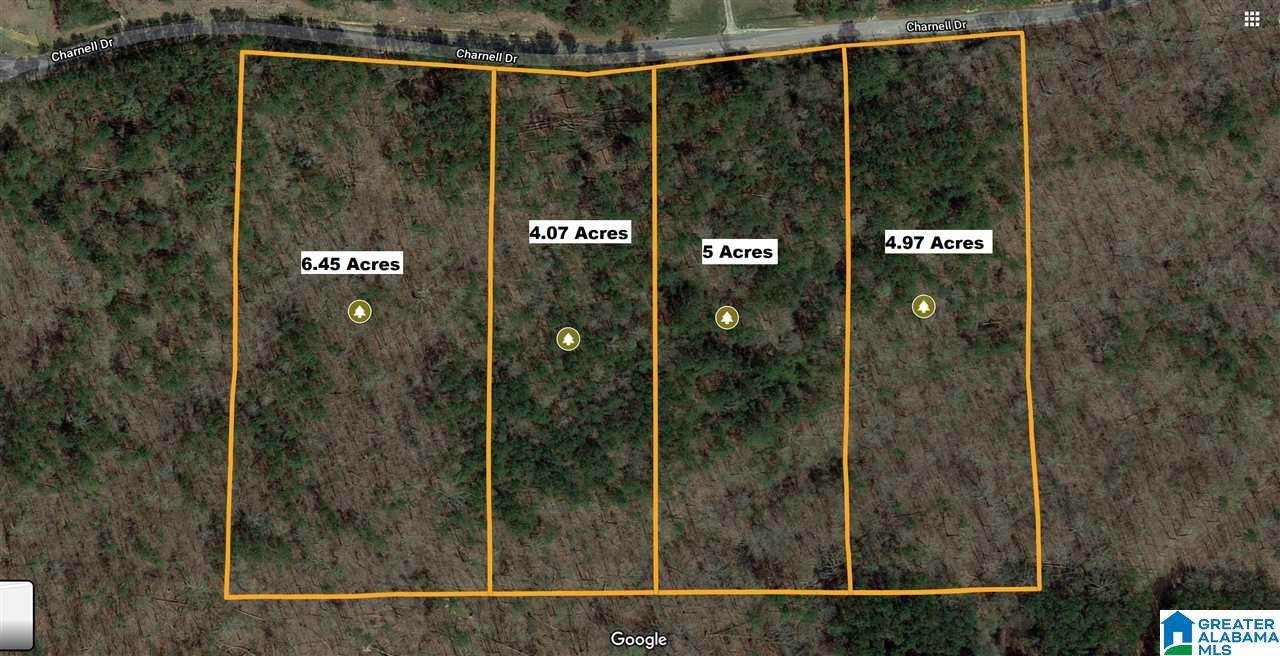 415 Charnell Dr - Photo 1