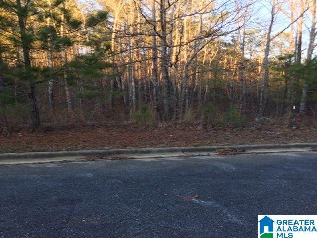 3605 Morgans Run Parkway - Photo 1