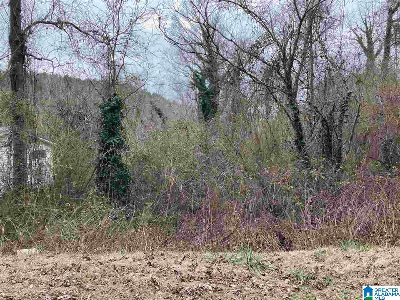 434 Highland Drive - Photo 1