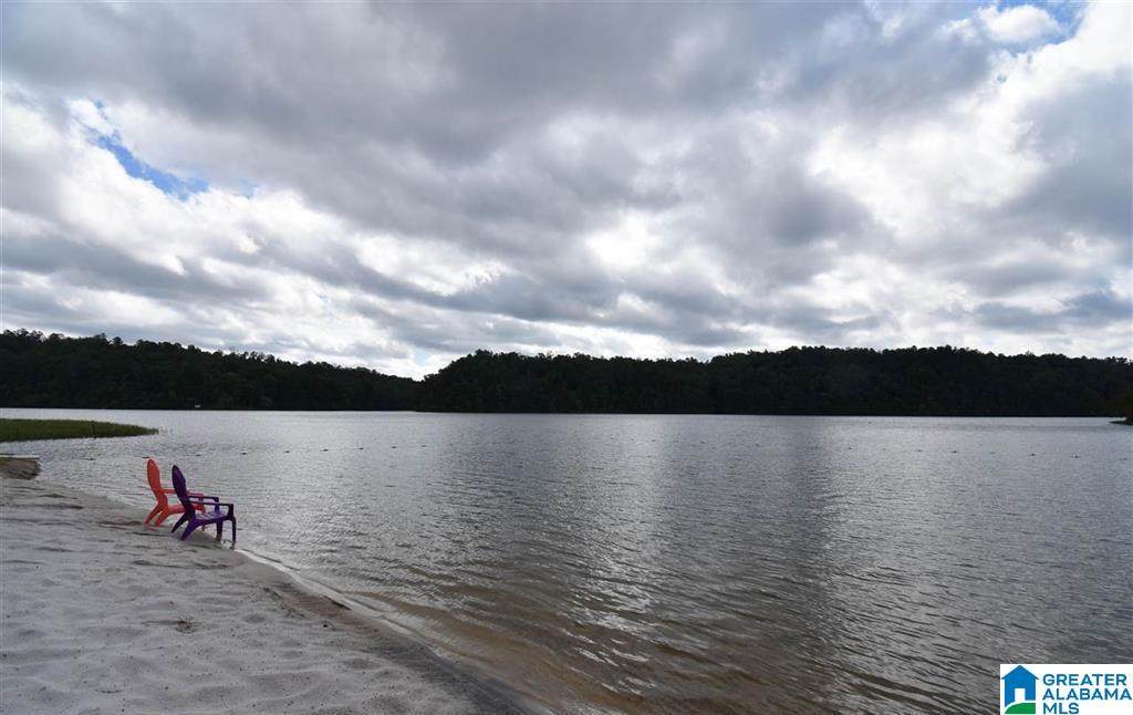 0 Piney Top Road - Photo 1