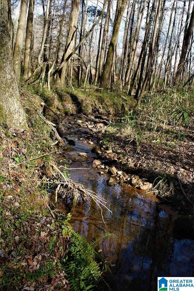 26.9+/- Acres Hwy 431 - Photo 1
