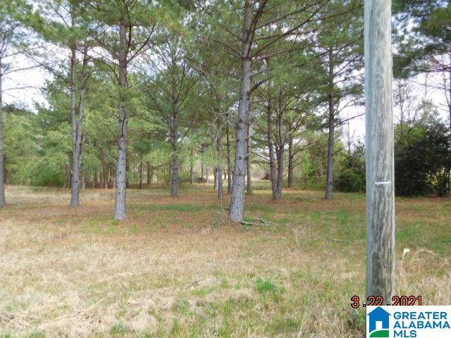 Lasseter Rd - Photo 1
