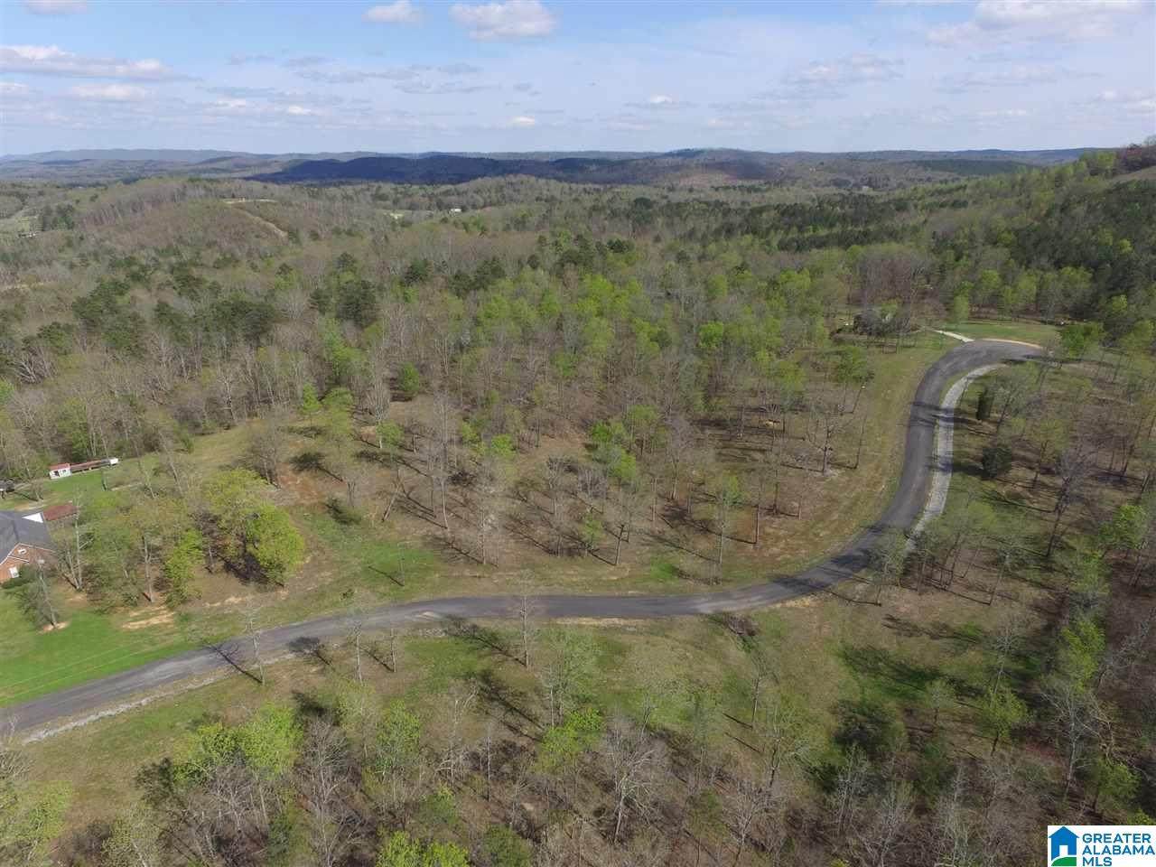 523 Stone Ridge Drive - Photo 1