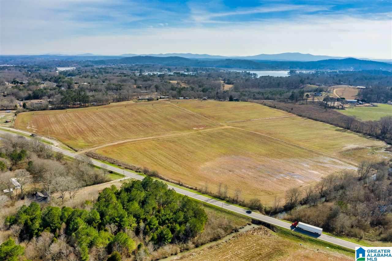 0 Hwy 231 - Photo 1