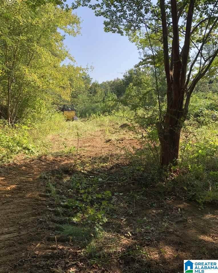 11731 Hwy 9 - Photo 1