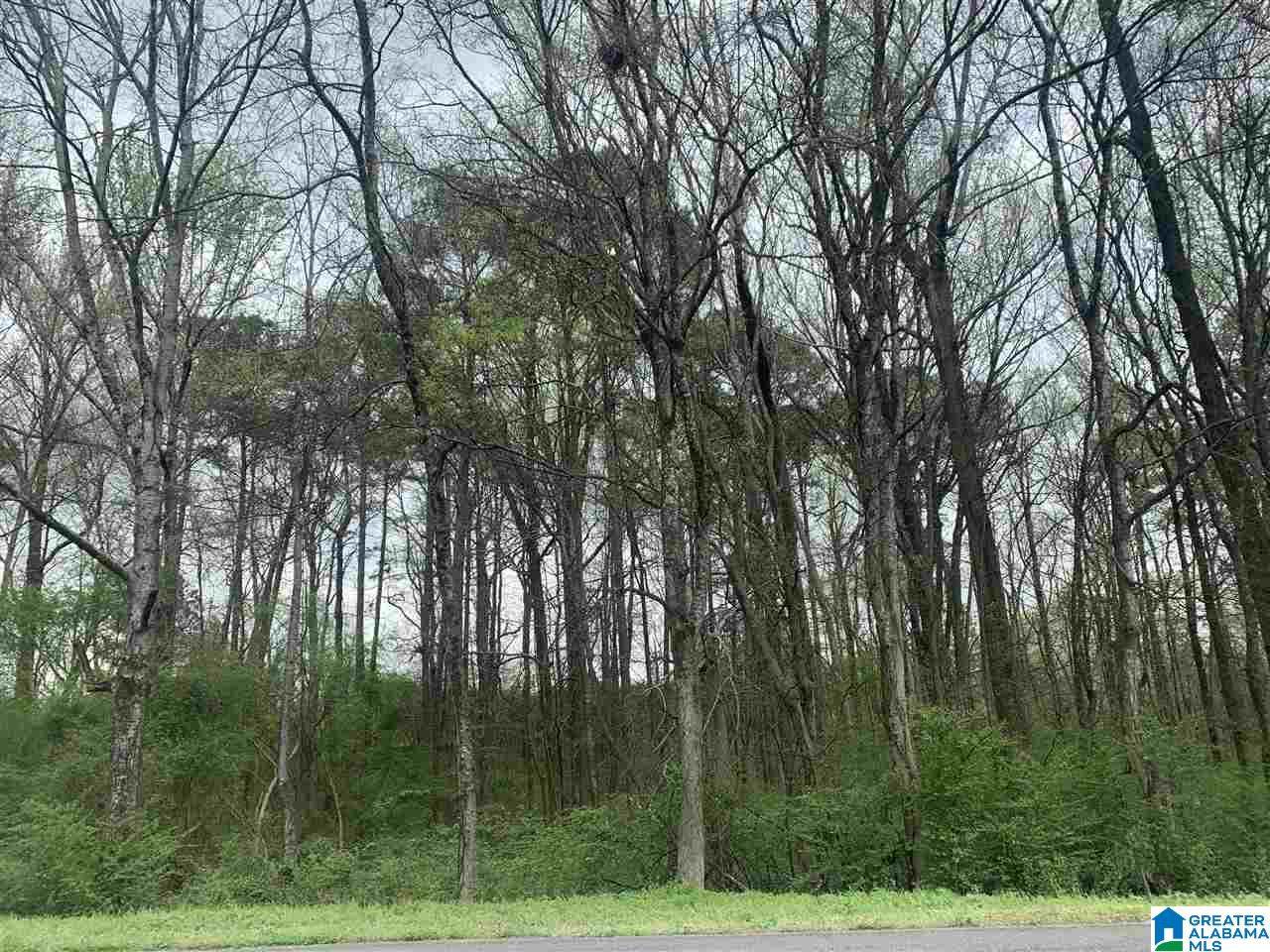 0 White Road - Photo 1