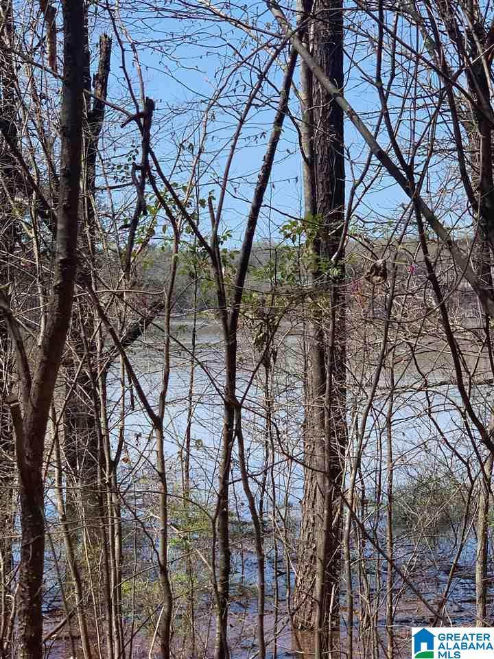 lot 40 Sunset Ln - Photo 1