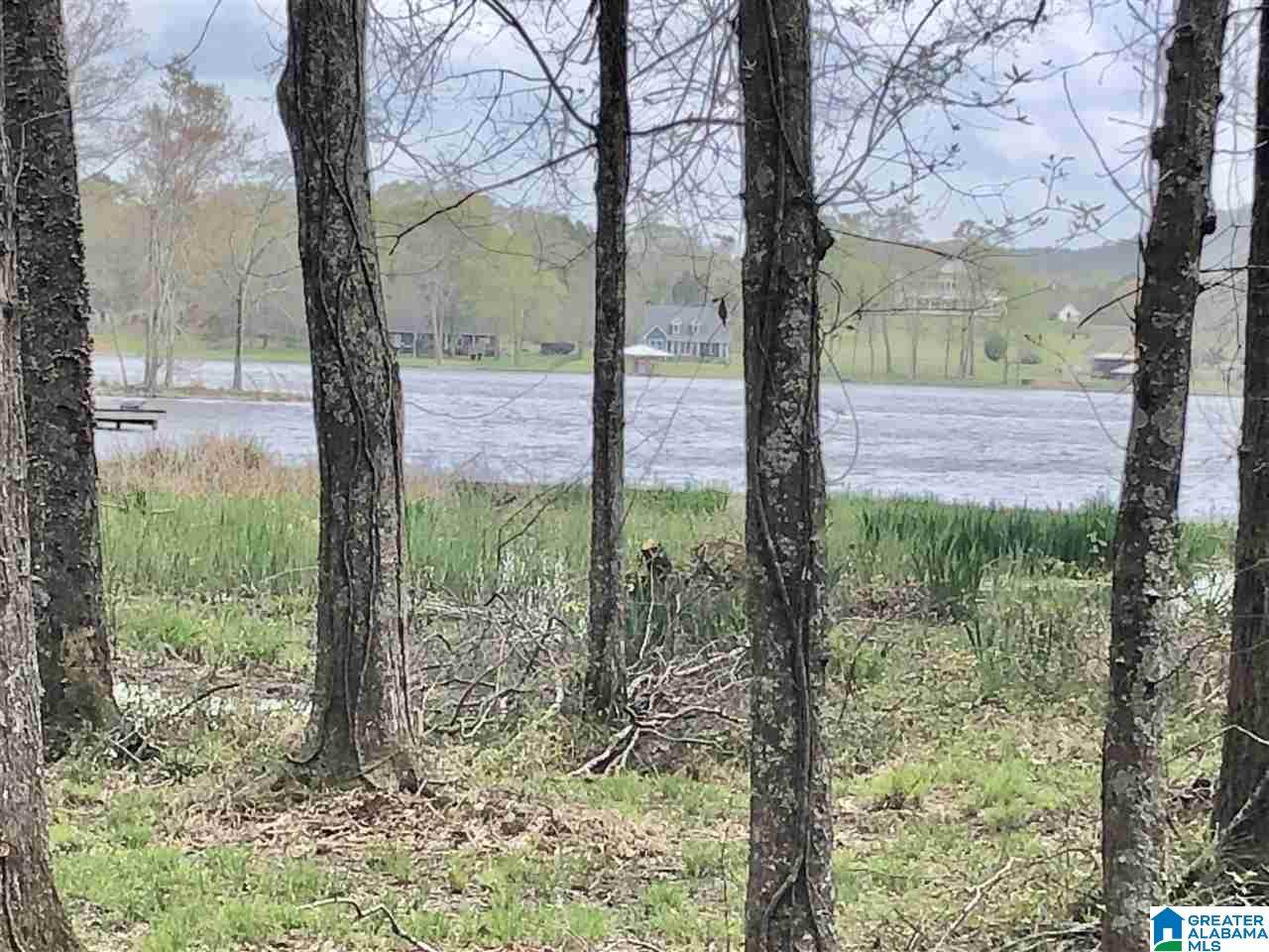 805 General Jackson Memorial Dr - Photo 1