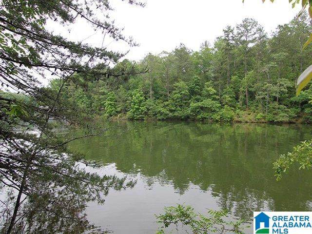 Wedowee Creek View Drive - Photo 1
