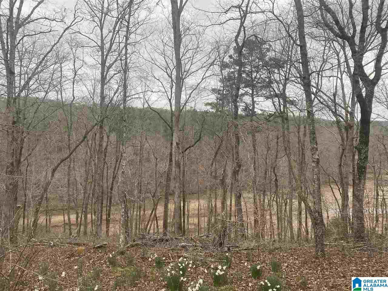 0 Pointe South Drive - Photo 1