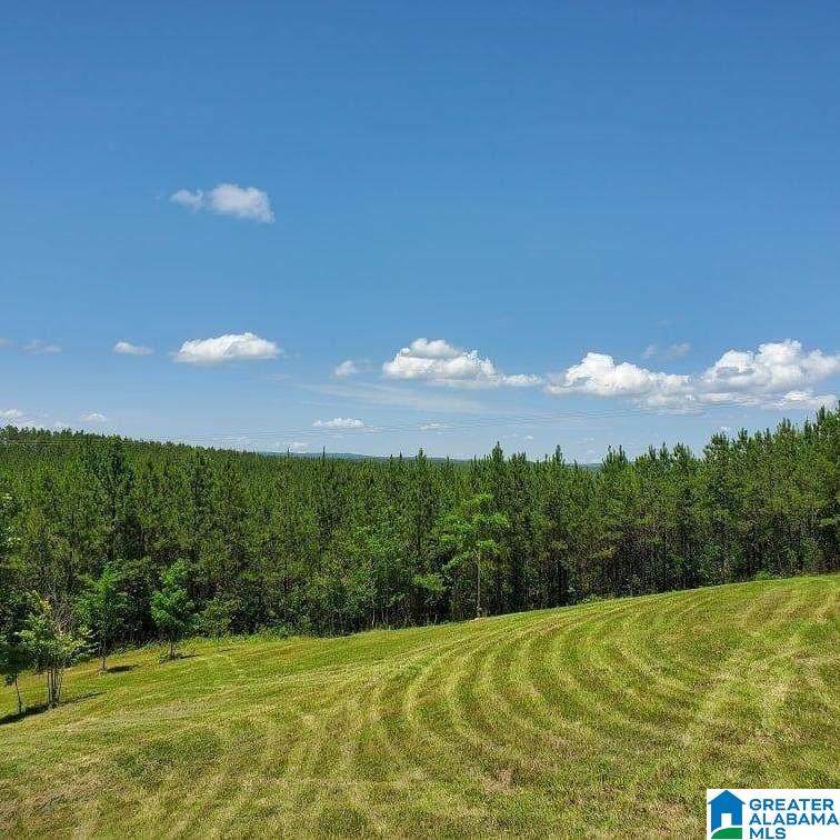 Lot 9 Hwy 69 - Photo 1