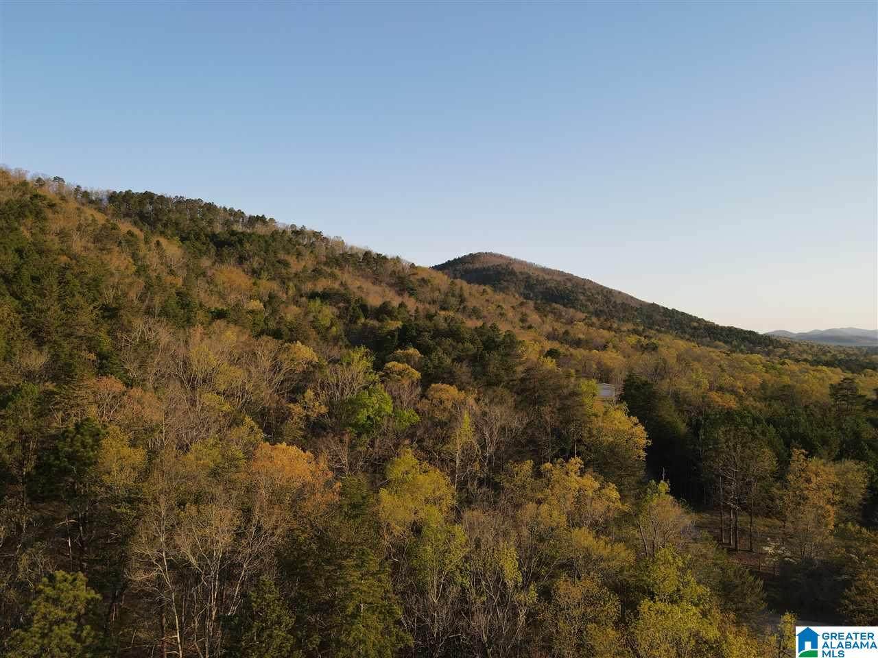 241 Deer Ridge Road - Photo 1