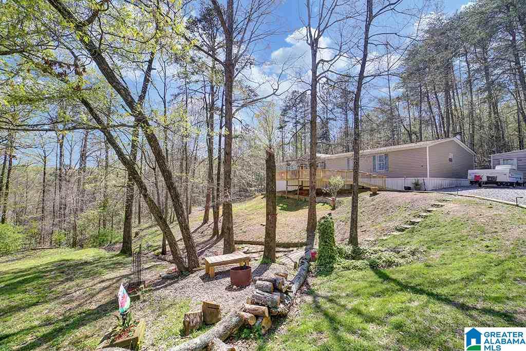 43 Moccasin Trail - Photo 1