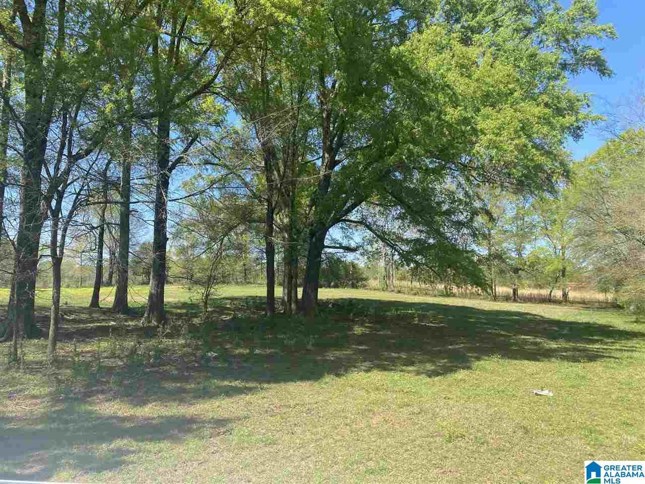 1832 Pecan Road - Photo 1