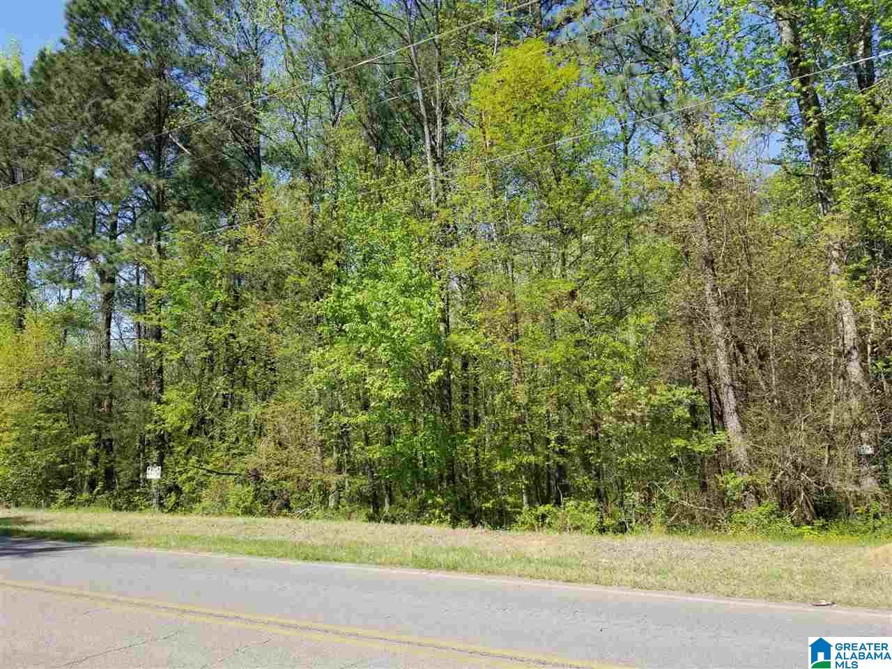 0 Campbellville Road - Photo 1