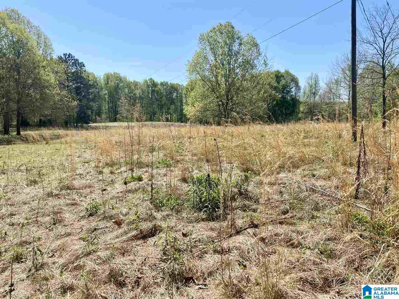 4201 Bristow Cove Road - Photo 1