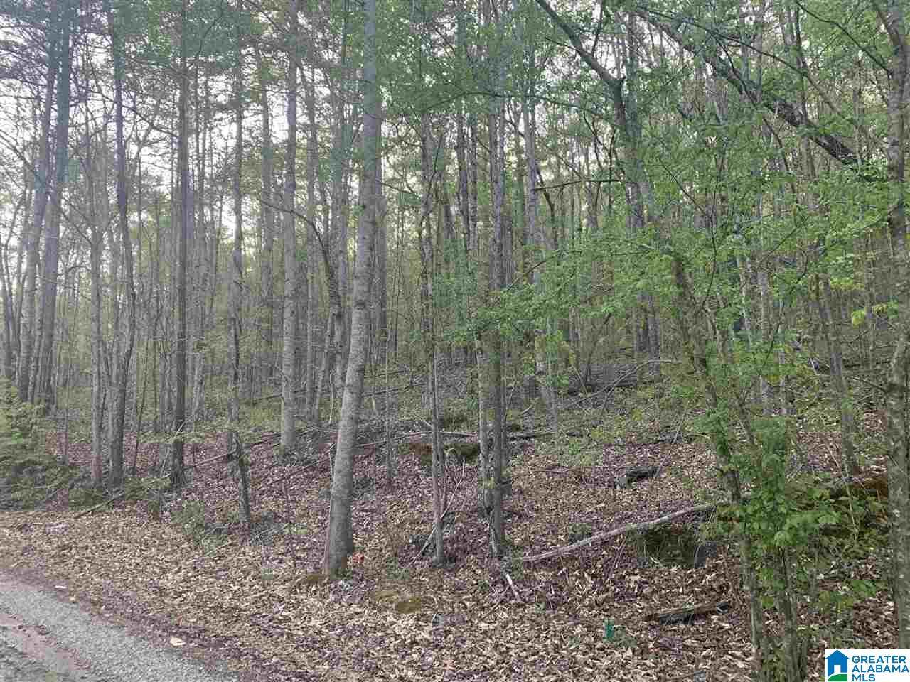 0 John Owens Road - Photo 1