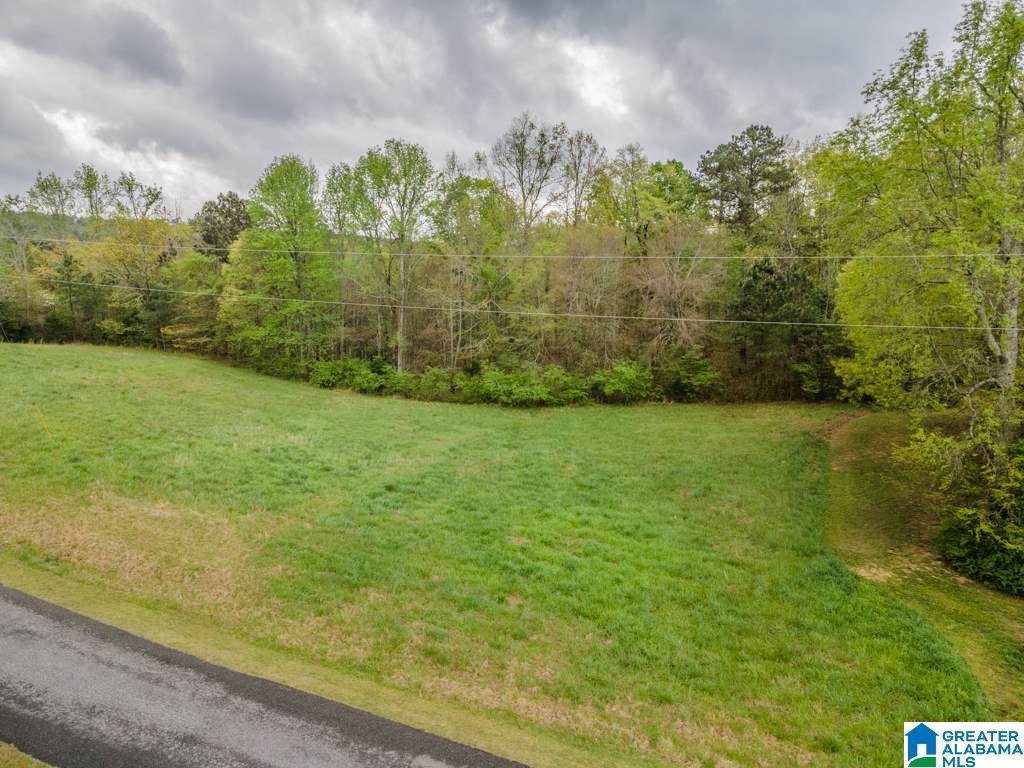 LOT 7 Allison Drive - Photo 1