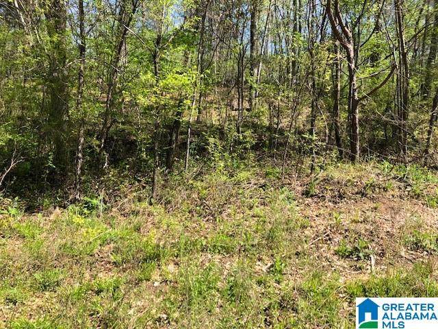 1920 Paradise Valley Road - Photo 1