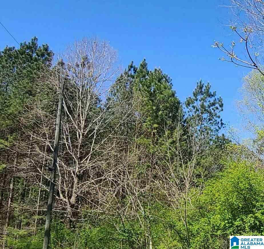 870 Kennedy Road - Photo 1
